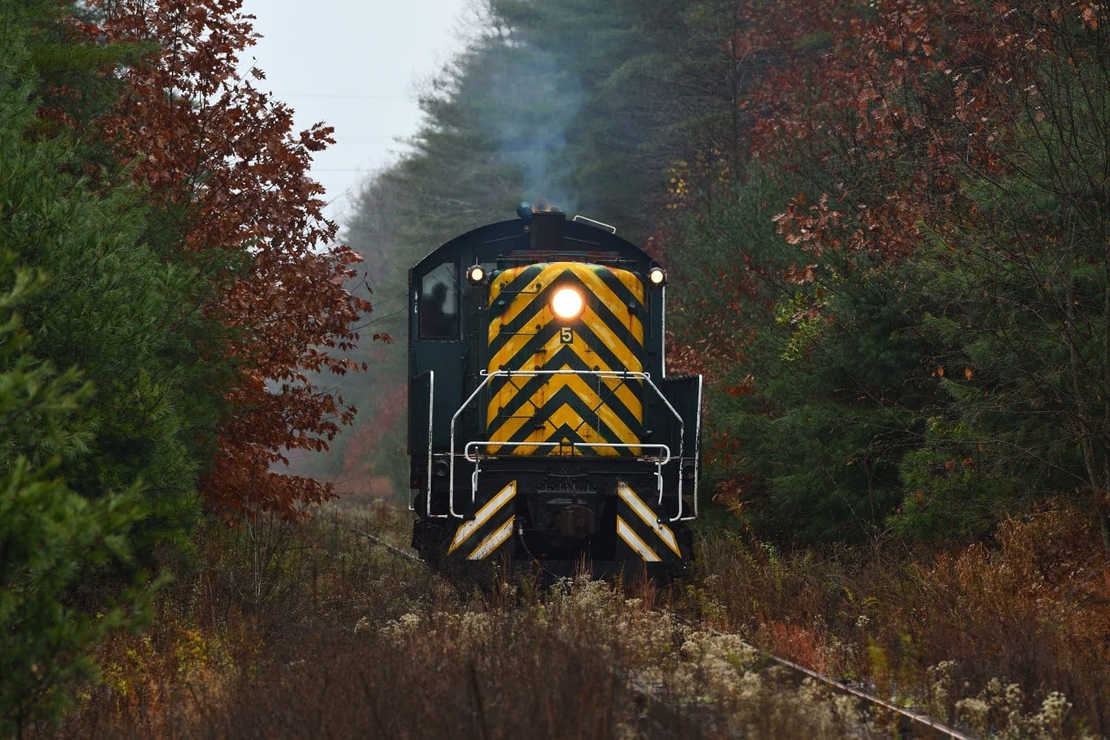 Locomotive front emerging through wooded autumn landscape