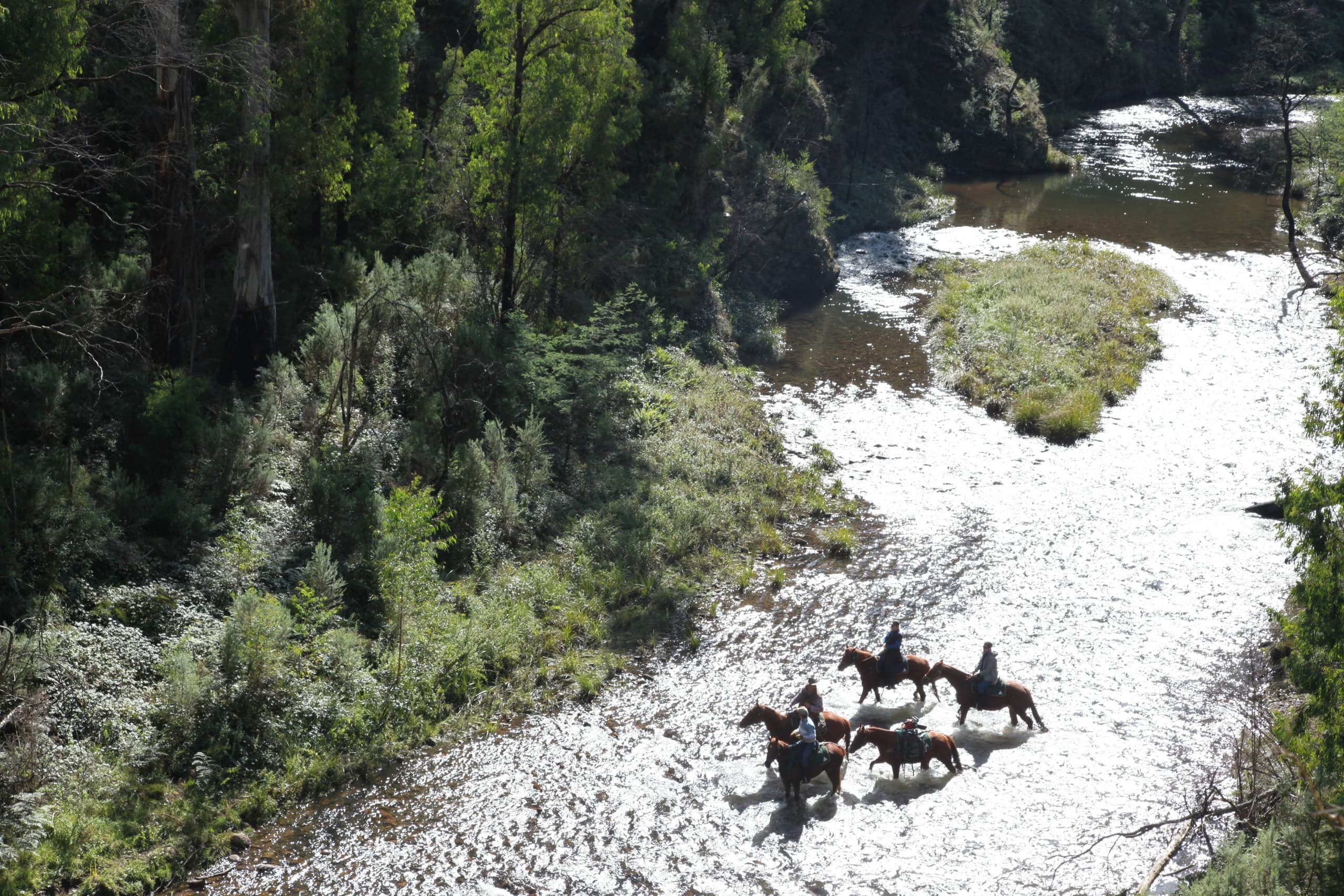 Epic 5-Day Horseback Adventure Along Australia’s Howqua River in Victoria