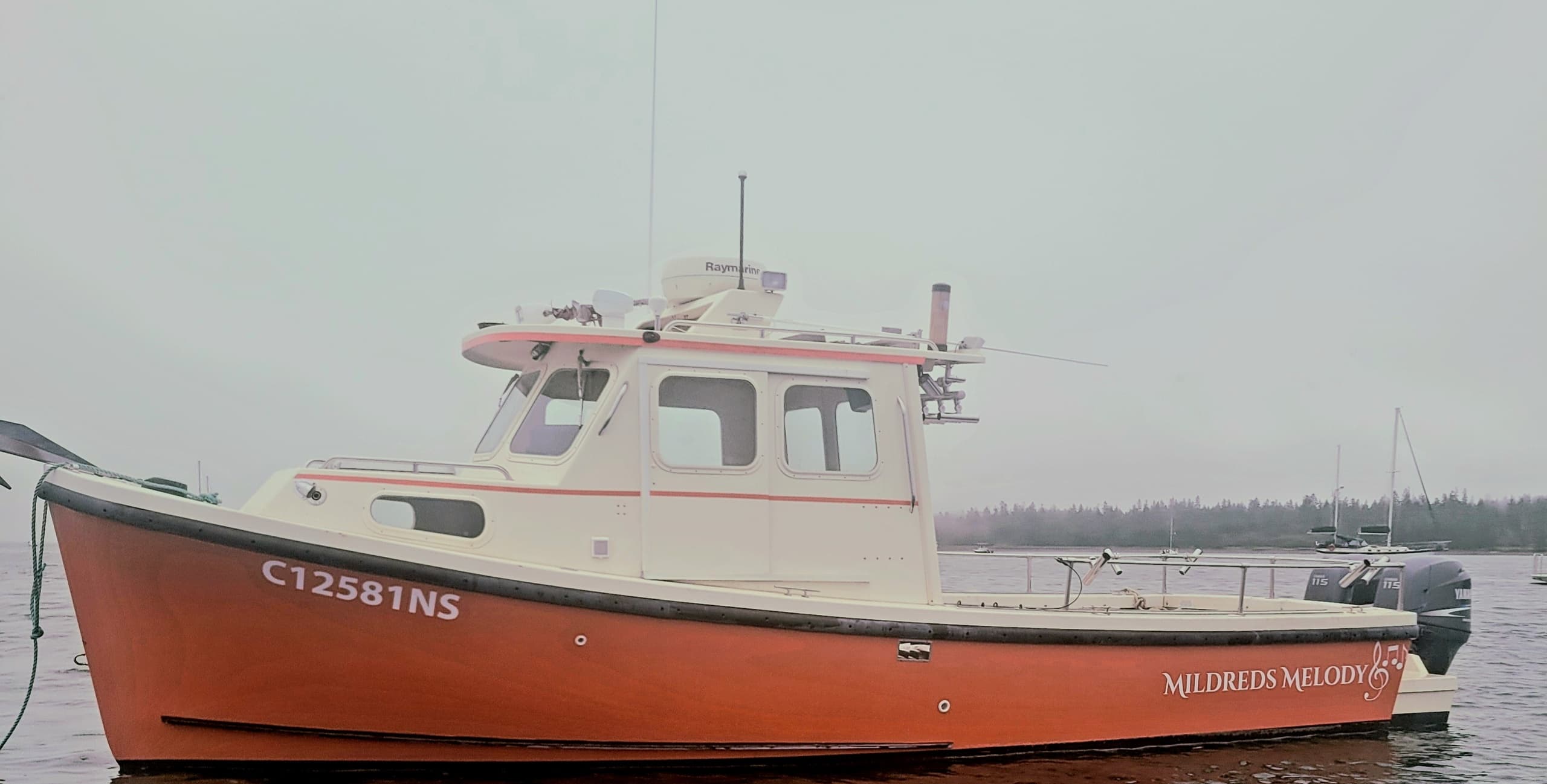 Whale Watching & Wildlife Tours Aboard Bubs Bounty in St. Andrews, New Brunswick