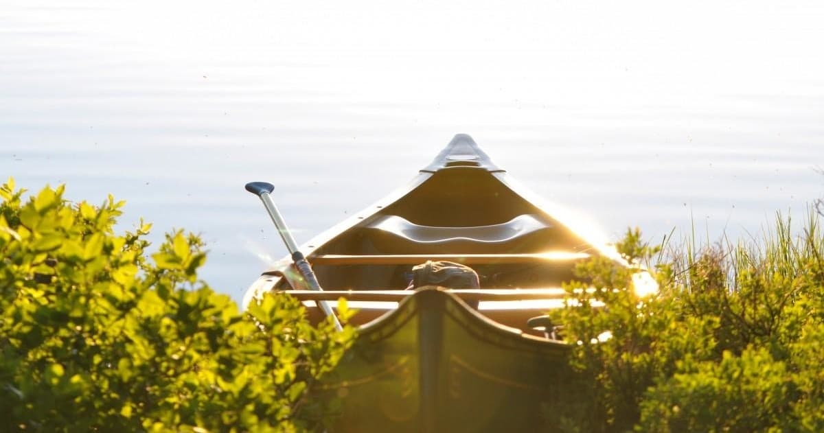Kayak Adventure with Go With The Flo in Alkmaar