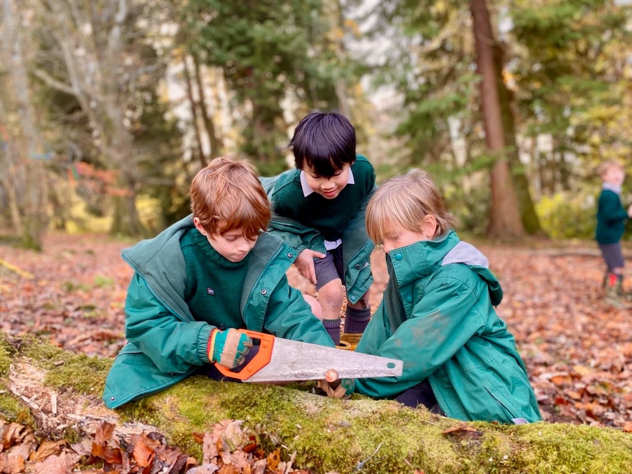 Land Adventures with Wee Adventures Ltd in Nature