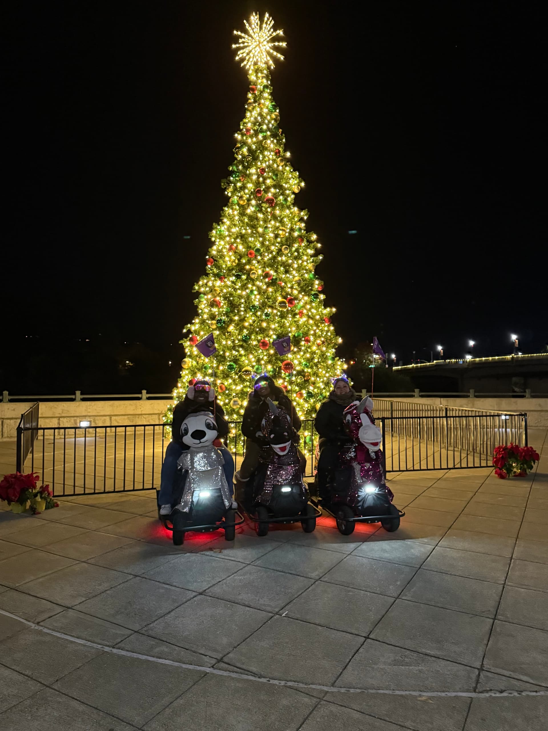 Glide Napa's Holiday Lights: Jingle Bell Rock & Glide Ride