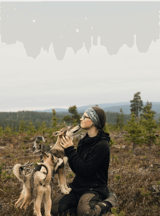 Meet Huskies & Reindeer at Star Arctic Hotel Farms