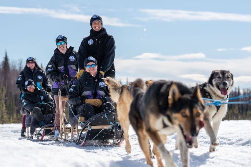 Glide with Champion Huskies: Traditional Winter Sled Ride Near Denali