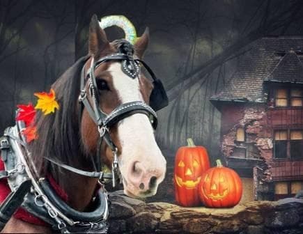 Experience Victoria’s Haunted Halloween Carriage Tour: Ghosts, History & Horses