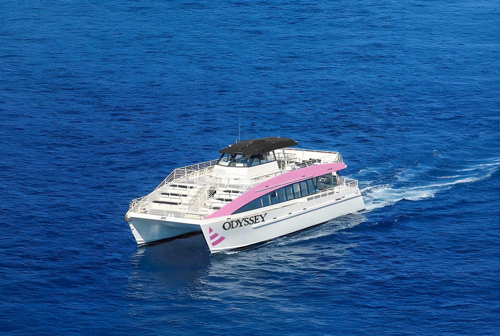 Experience Waikiki's Magic: Sunset Whale Watch Cruise from Honolulu