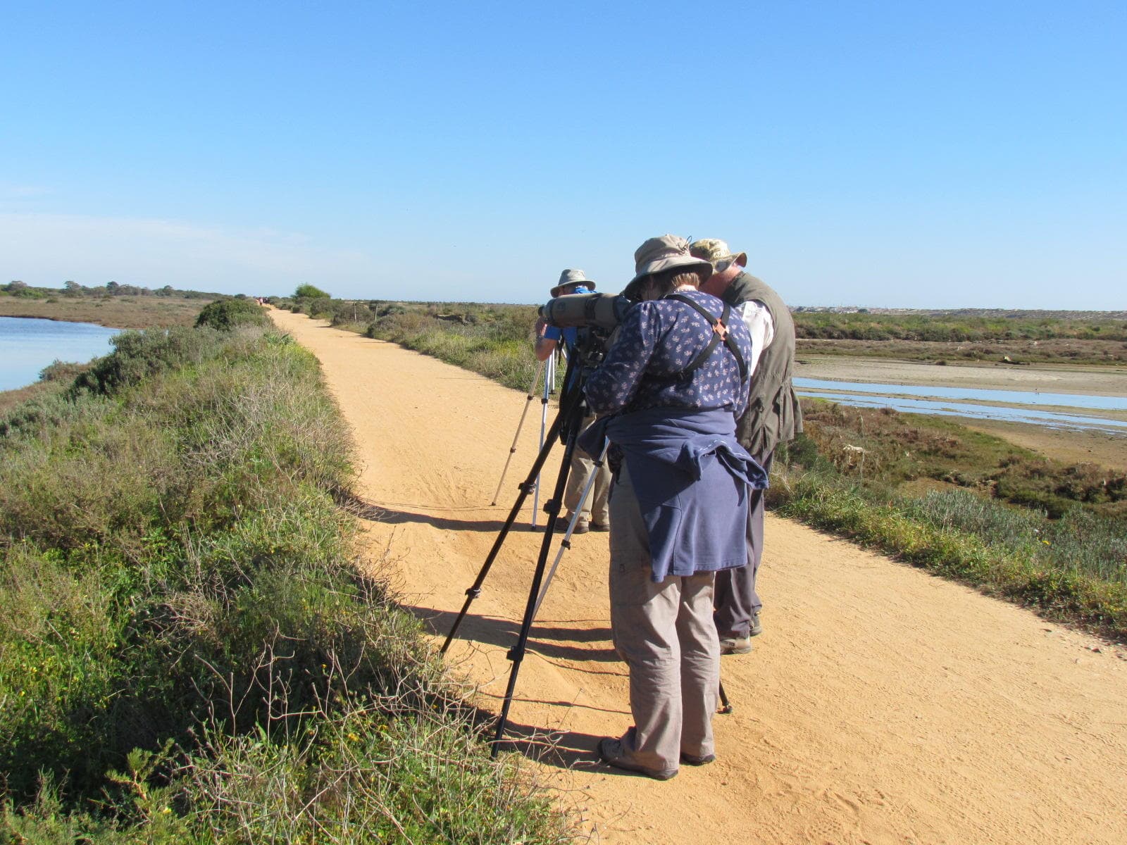 Wildlife & Salt Pans: Half Day at Ria Formosa with A Rocha Life in Portimão