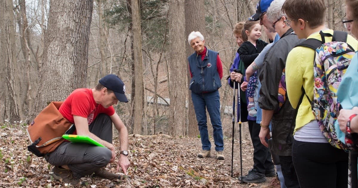 Spring Wildflower Walk on Trillium Trail, Fox Chapel — Guided Woodland Flower Hike Near Pittsburgh