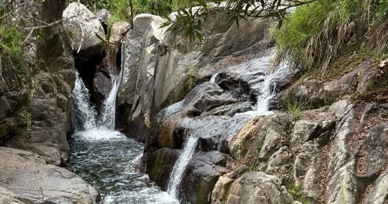 Rainforest & Waterfall Excursion with Island Reef Tours