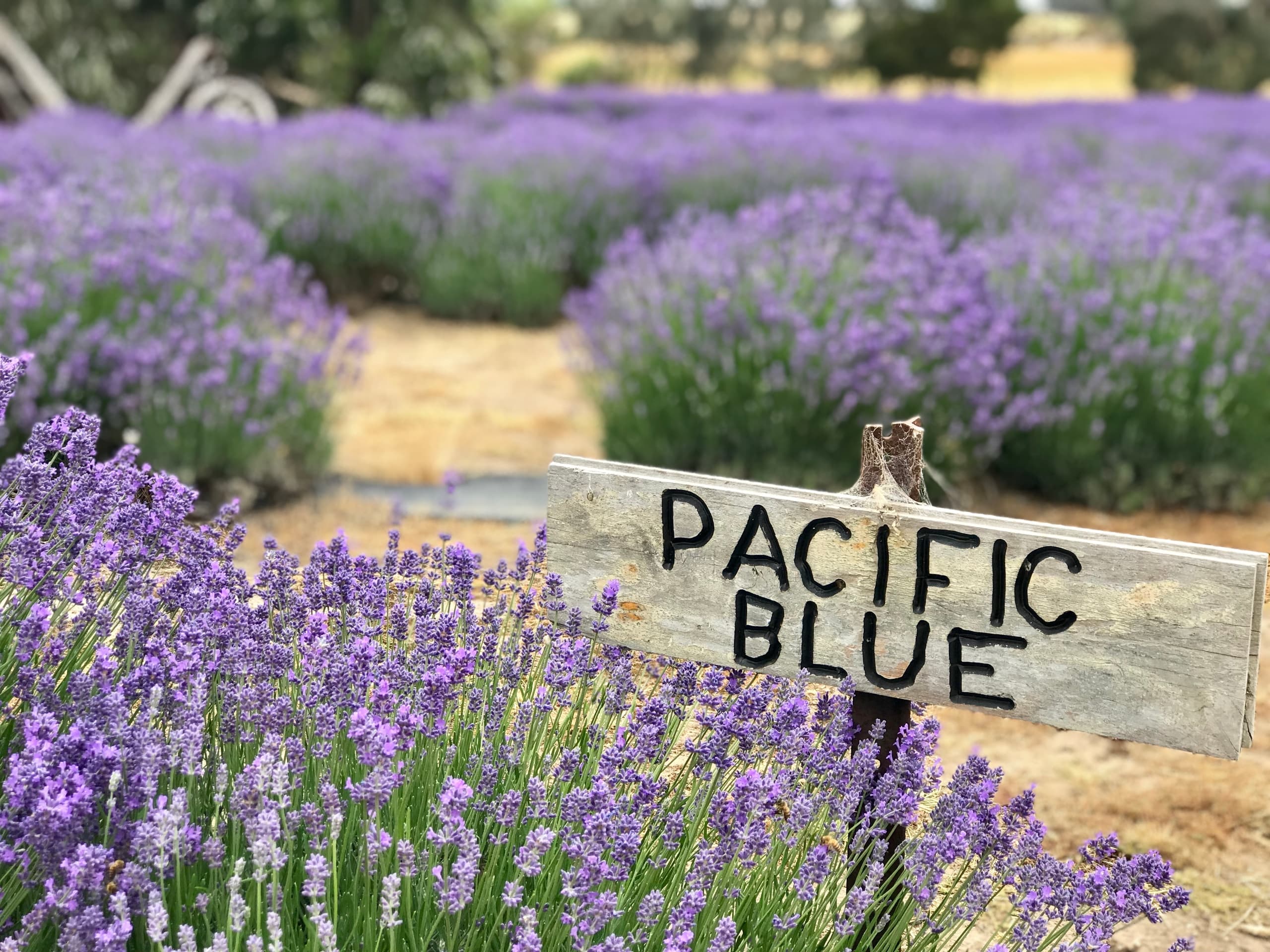 Kangaroo Island Trails: Full Day Tasting Tour