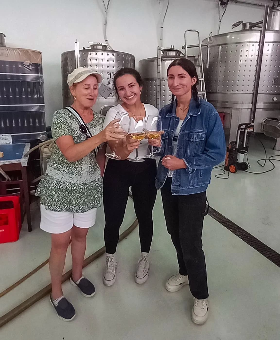 Volcanic Adventure & Wine with Islanders - Immersive Experiences