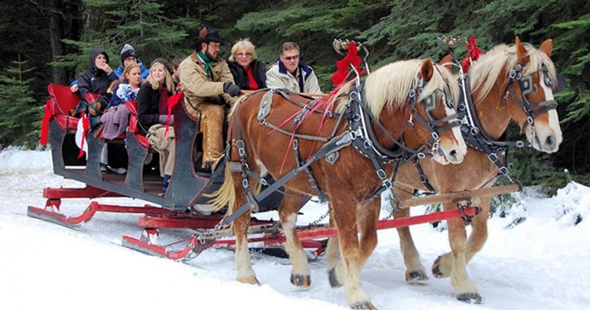 Sleigh Ride in Park City | North Forty Escapes in Oakley