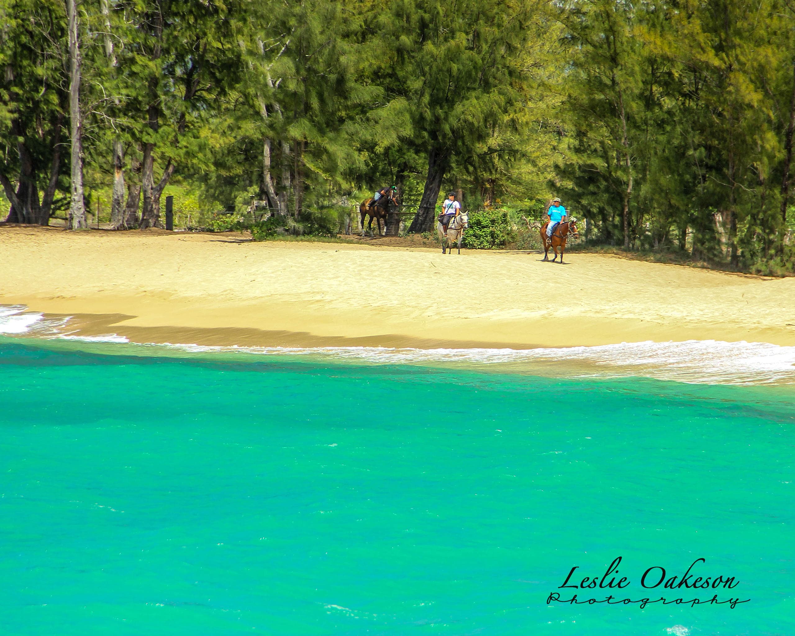 Beach horseback riders by turquoise tropical shoreline