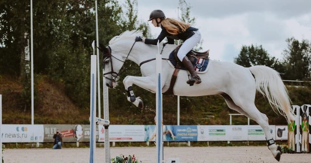 Master Advanced Equestrian Jumping in Eagle Creek, Oregon