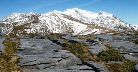 Alpine Splendour Hiking with Wine Art and Wilderness