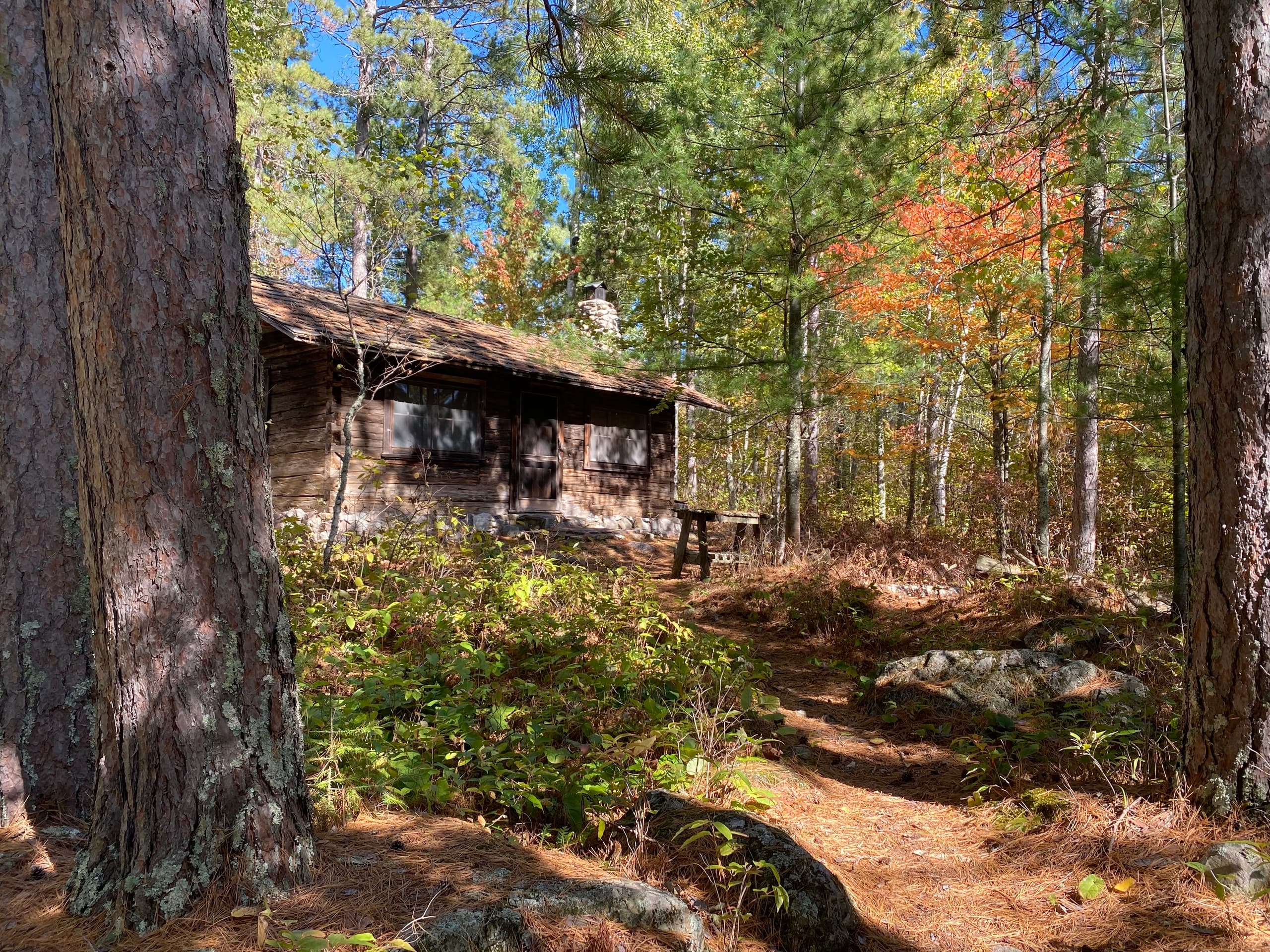 Secluded woodland cabin on a forest trail amid autumn pines