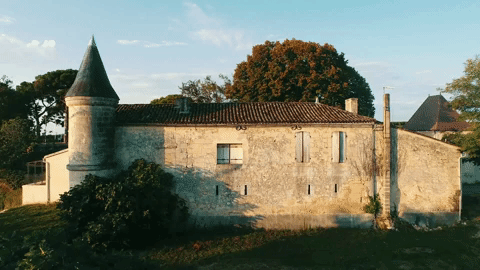 Historic château exterior with turret amid vineyard estate landscape