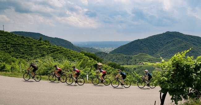 Luxury Prosecco Hills Bike Tour with Italy Cycling Tour