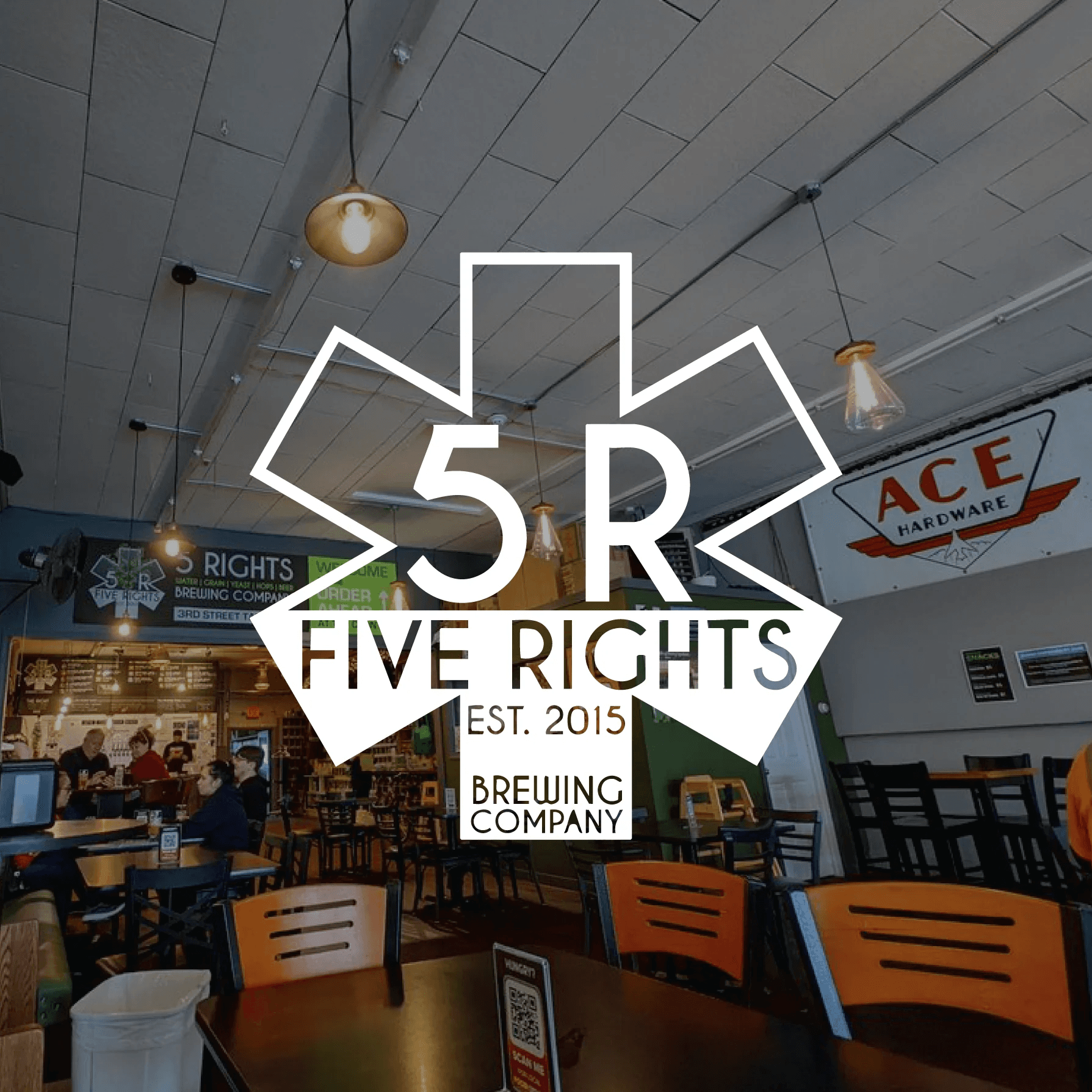 Bonsai Bar @ 5 Rights Brewing Company: Make Tiny Bonsai in Marysville