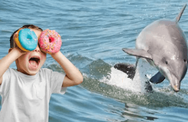 Dolphin Watching & Donuts with Fins Up Clearwater