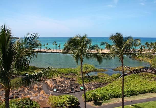 Oceanfront resort view with palm trees and lagoon