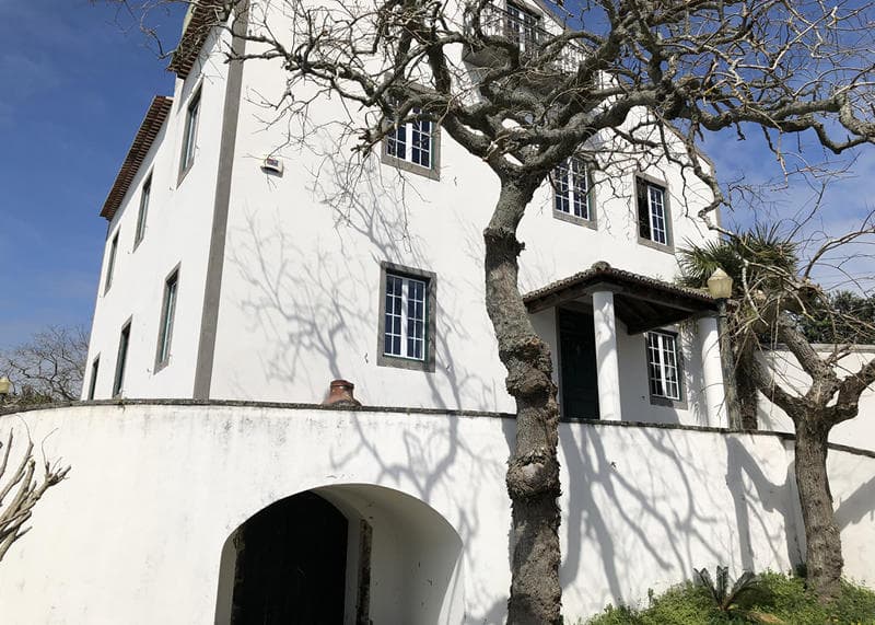 White manor exterior with twisted trees under bright blue sky