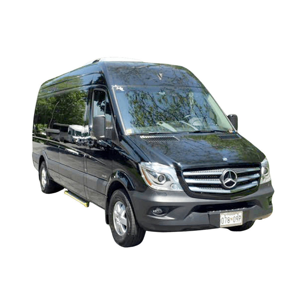 Urban Land Adventures: NYC Private Van Tour by USA Guided Tours