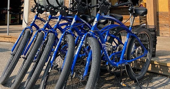 Bike & Lakefront Adventure with Kalavida Surf Shop in Okanagan