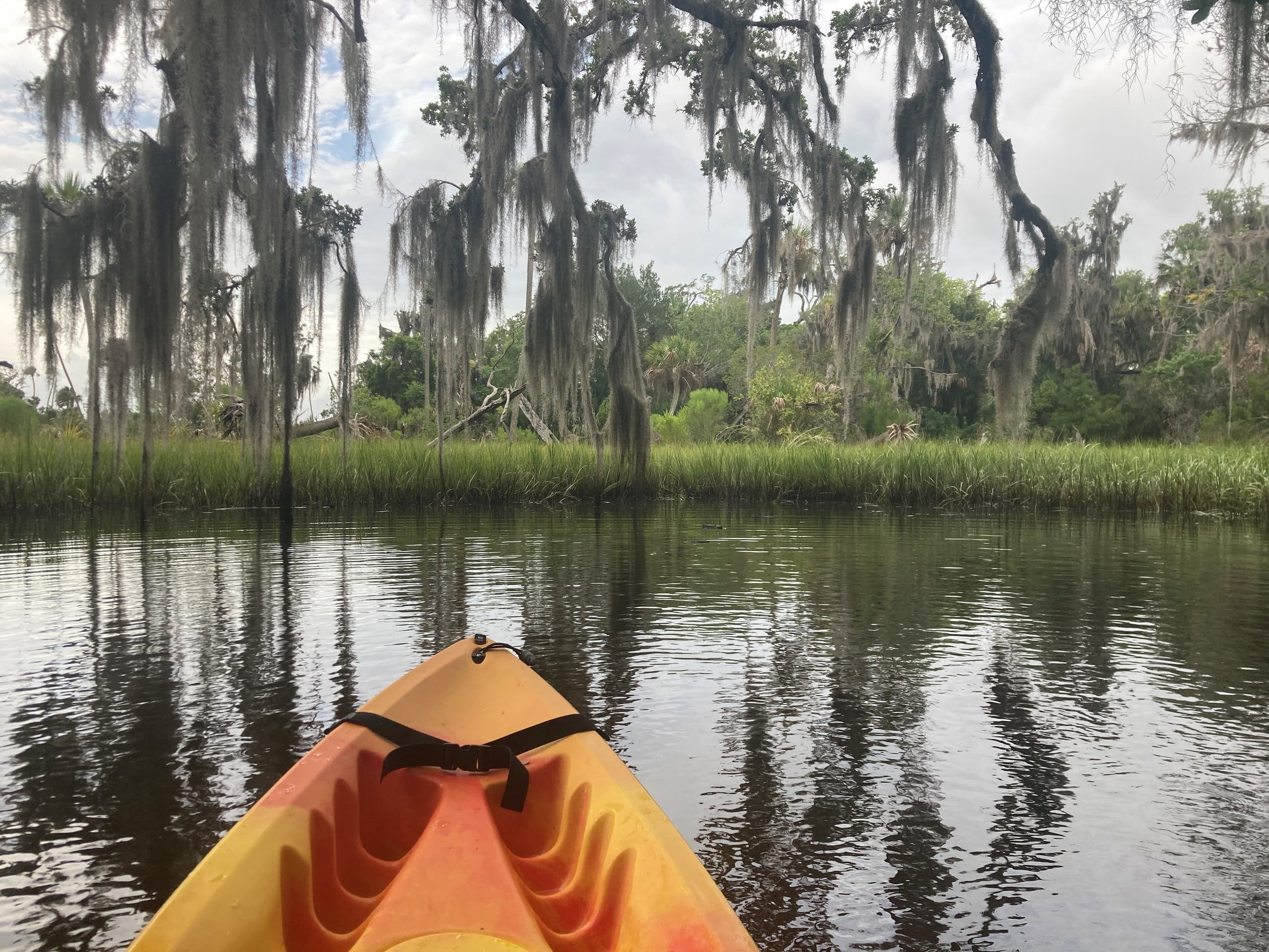 Kayak bow gliding under Spanish moss trees on calm river