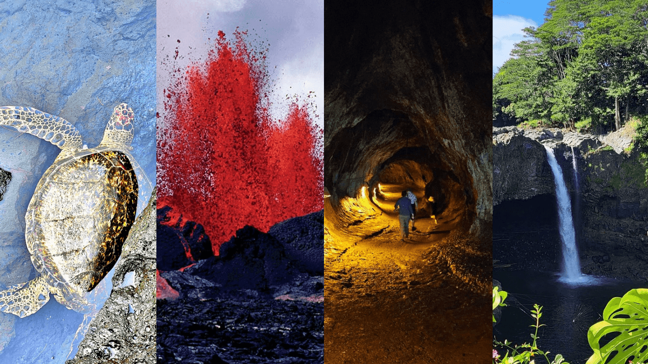 Makaio Tours Hawaii LLC fleet