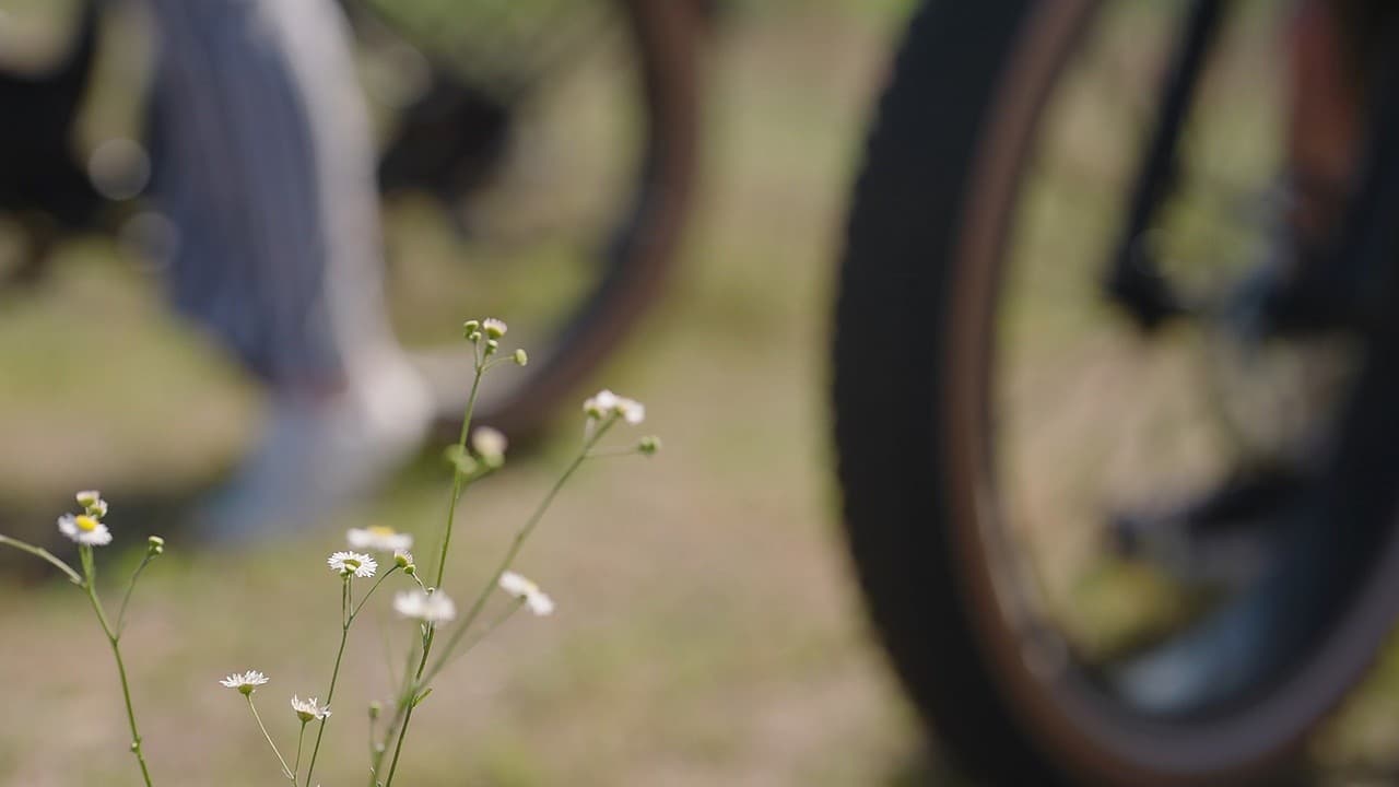 Pedal Through Florida Caverns: 4-Hour Bike Rentals Along the Chipola River photo 4