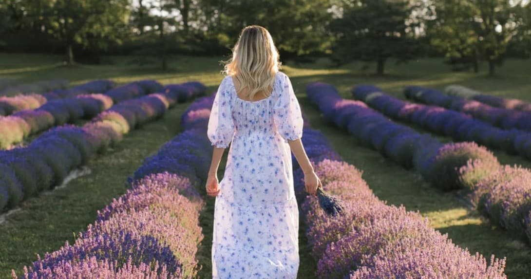 Land Adventures at Purple Hill Lavender Farm in Creemore