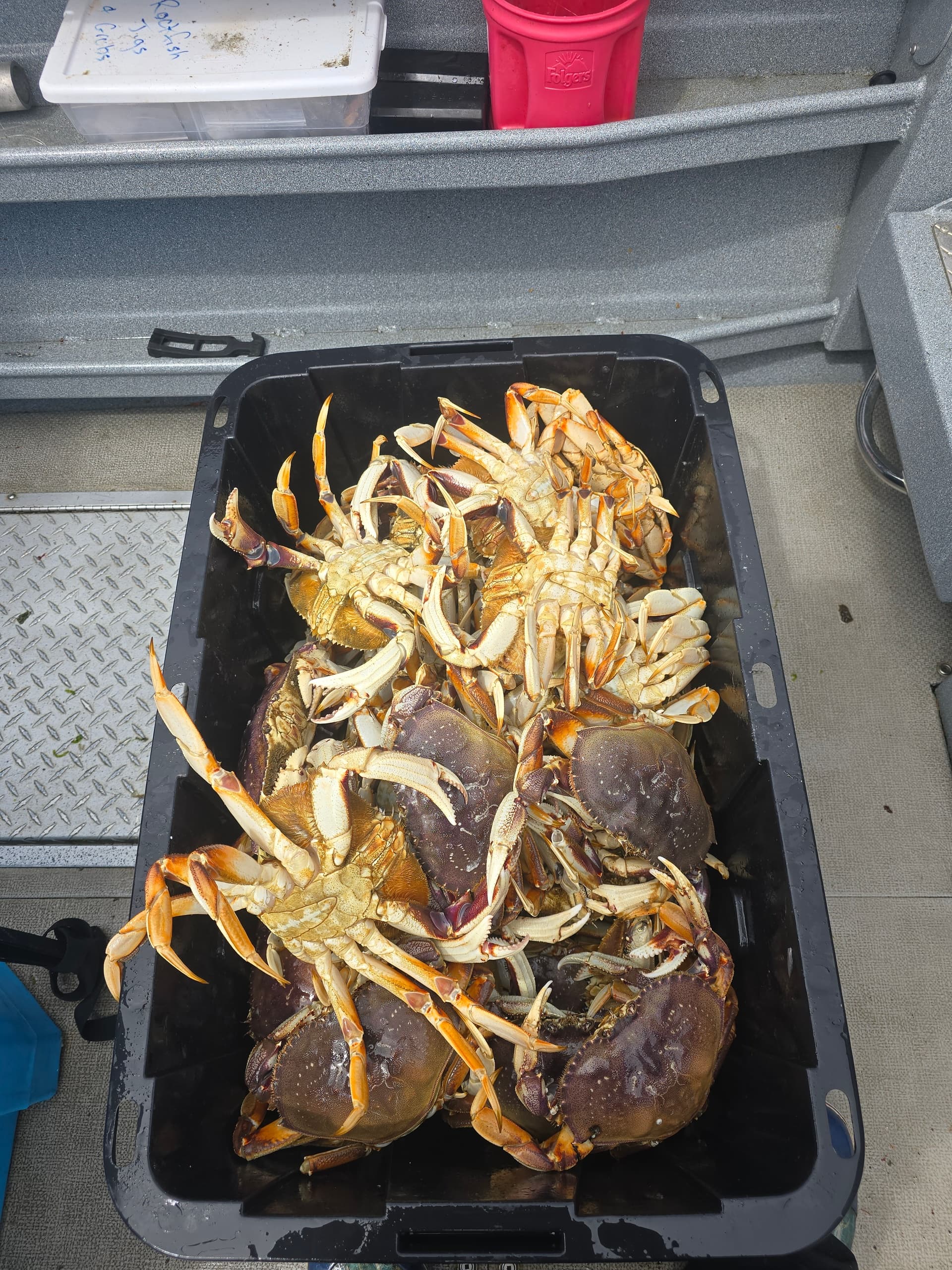 Water Activities & Fish On Charter Services: Ocean Crabbing Adventure