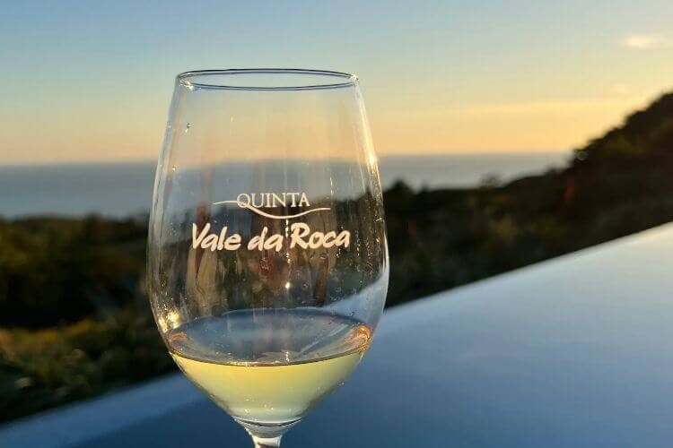 Coastal Wine Tasting Near Cabo da Roca Prova Discovery in Colares photo 1