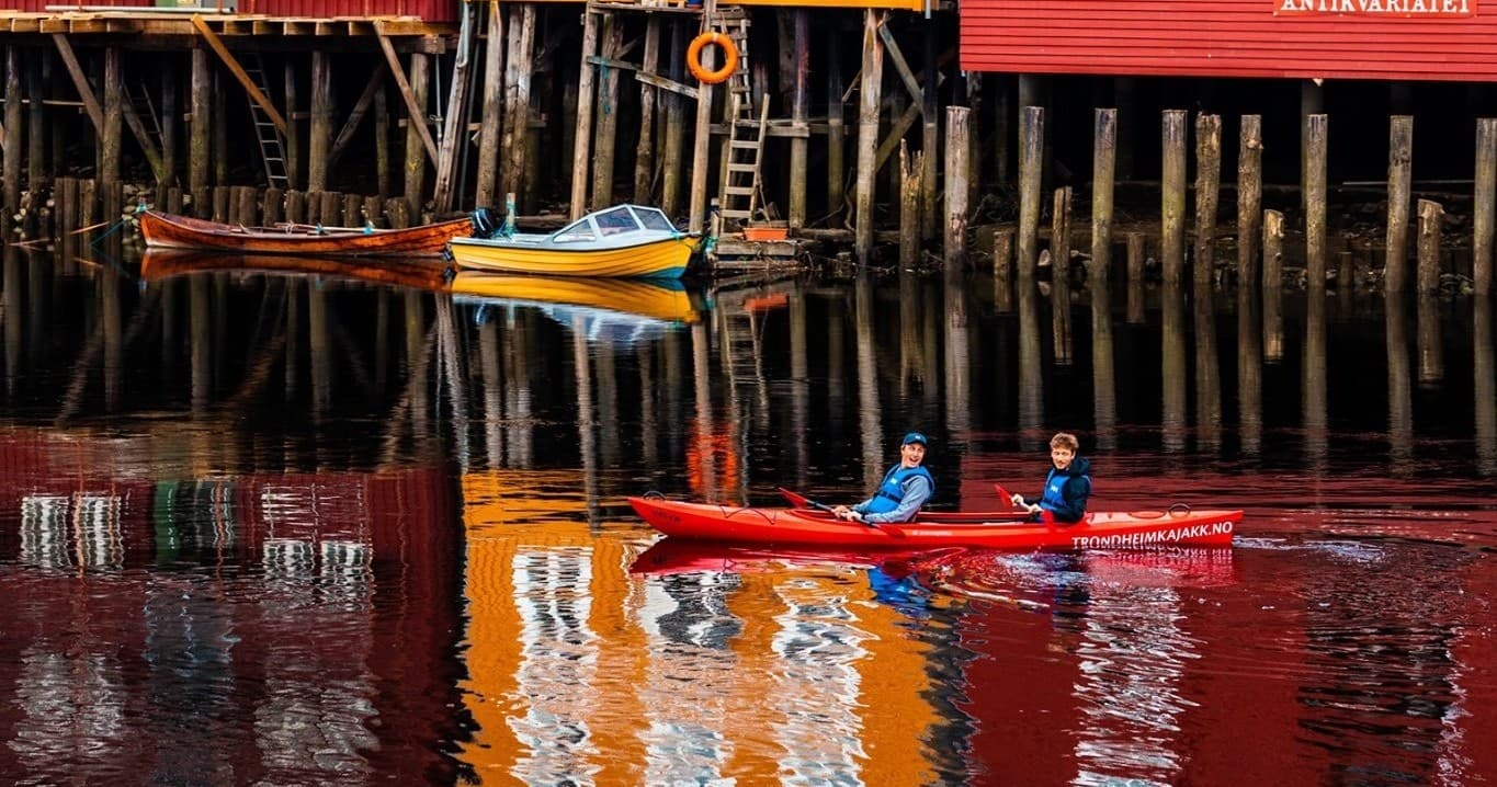 Private Kayak Tour with Trondheim Kajakk in Norway
