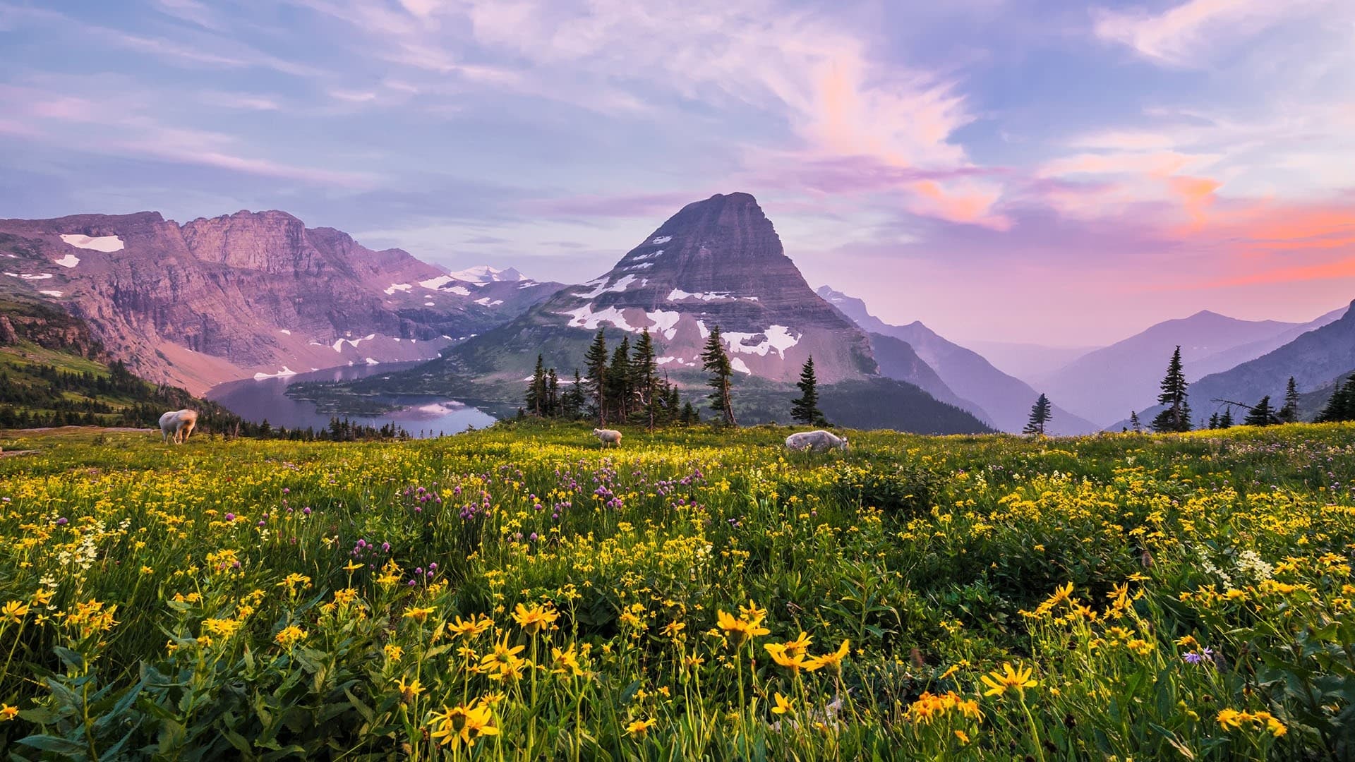 Slow-Motion Glacier: A Low-Stress Private Tour from Whitefish photo 4