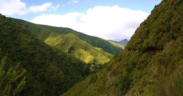 Rabaçal Lakes Hike with Nature Meetings Madeira