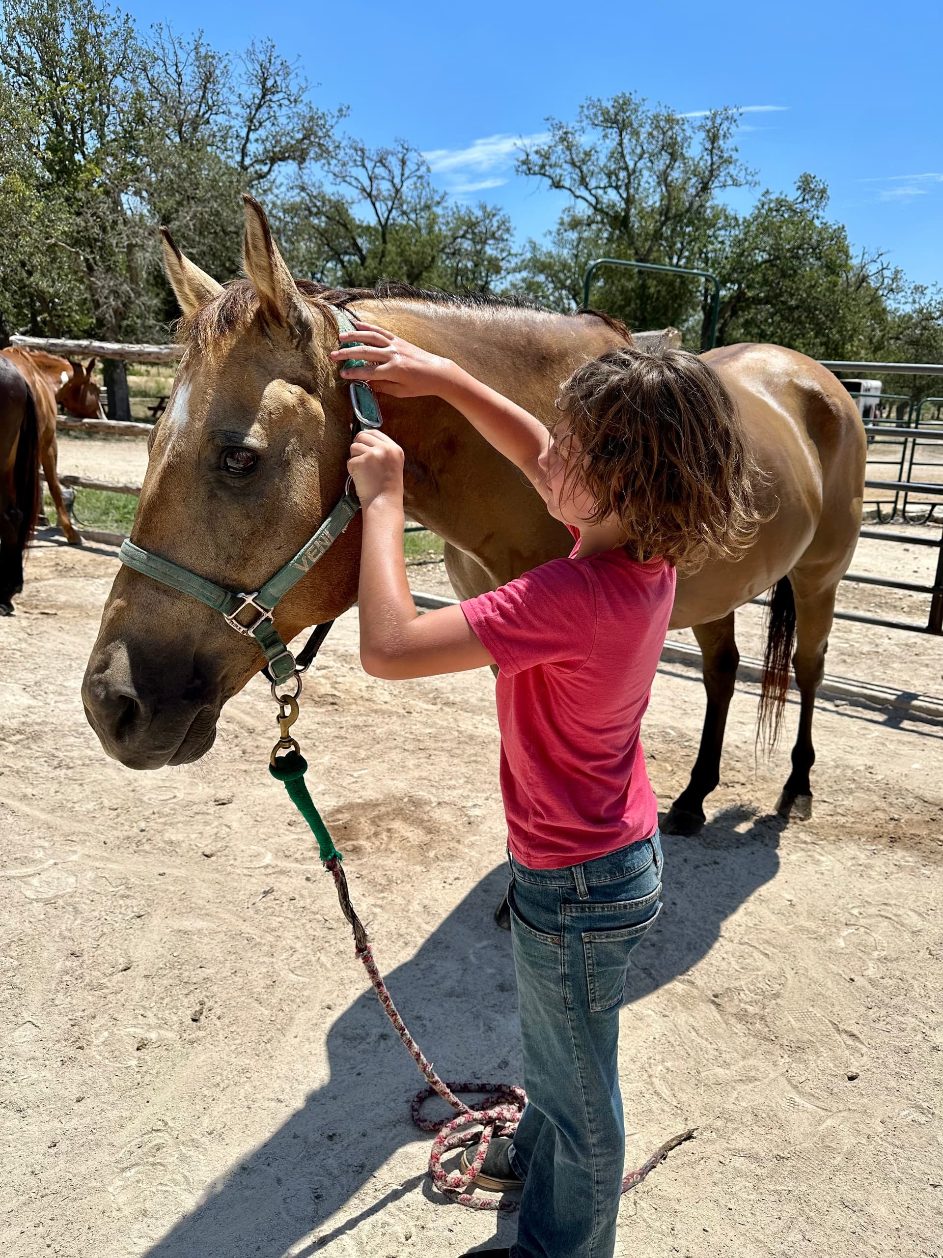 Family Ranch Stay Adventure in Bandera, Texas
