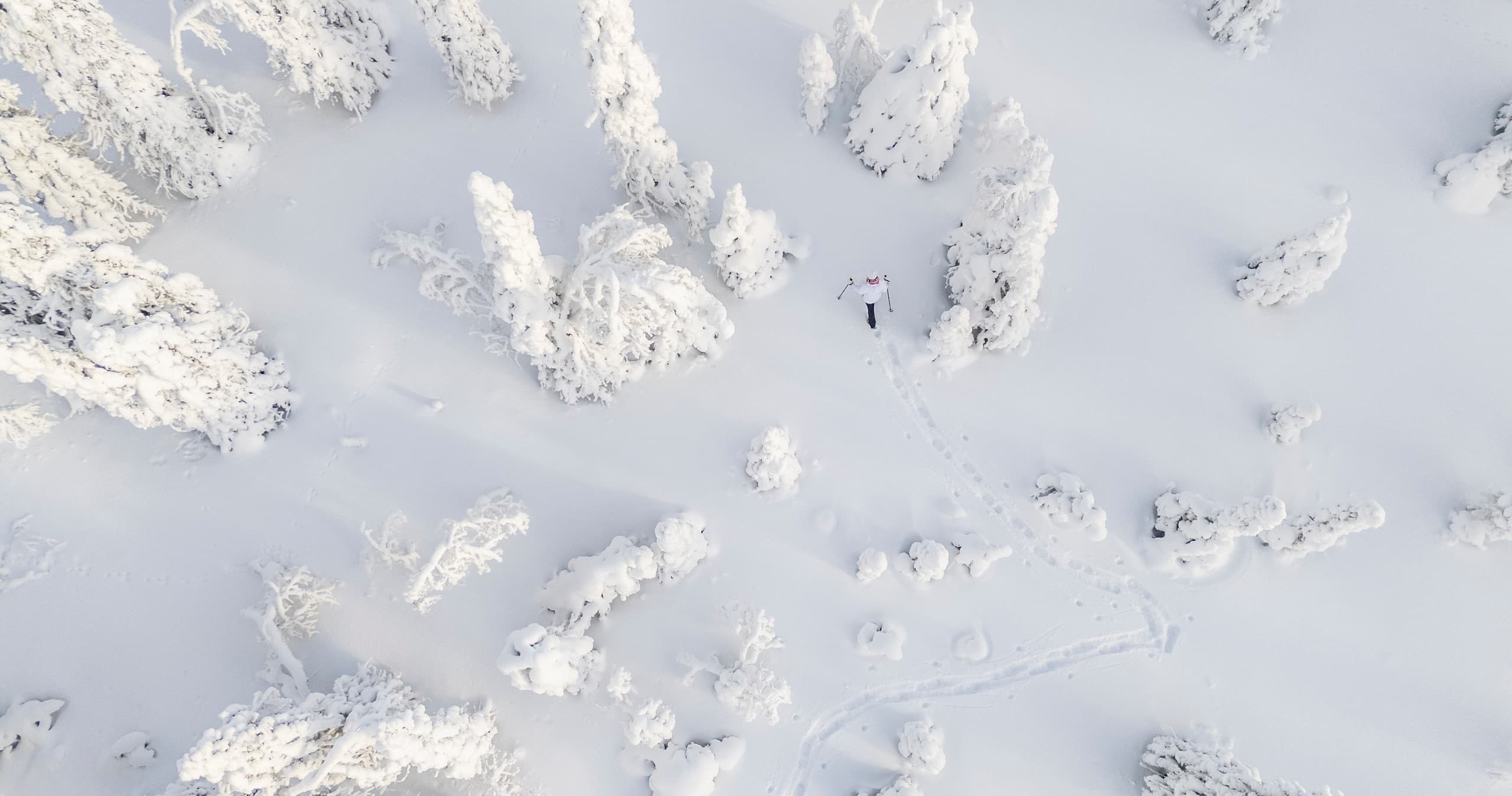 Snowshoeing the Snowy Forest Trail: Guided Winter Walks from Hotel Ukkohalla photo 3