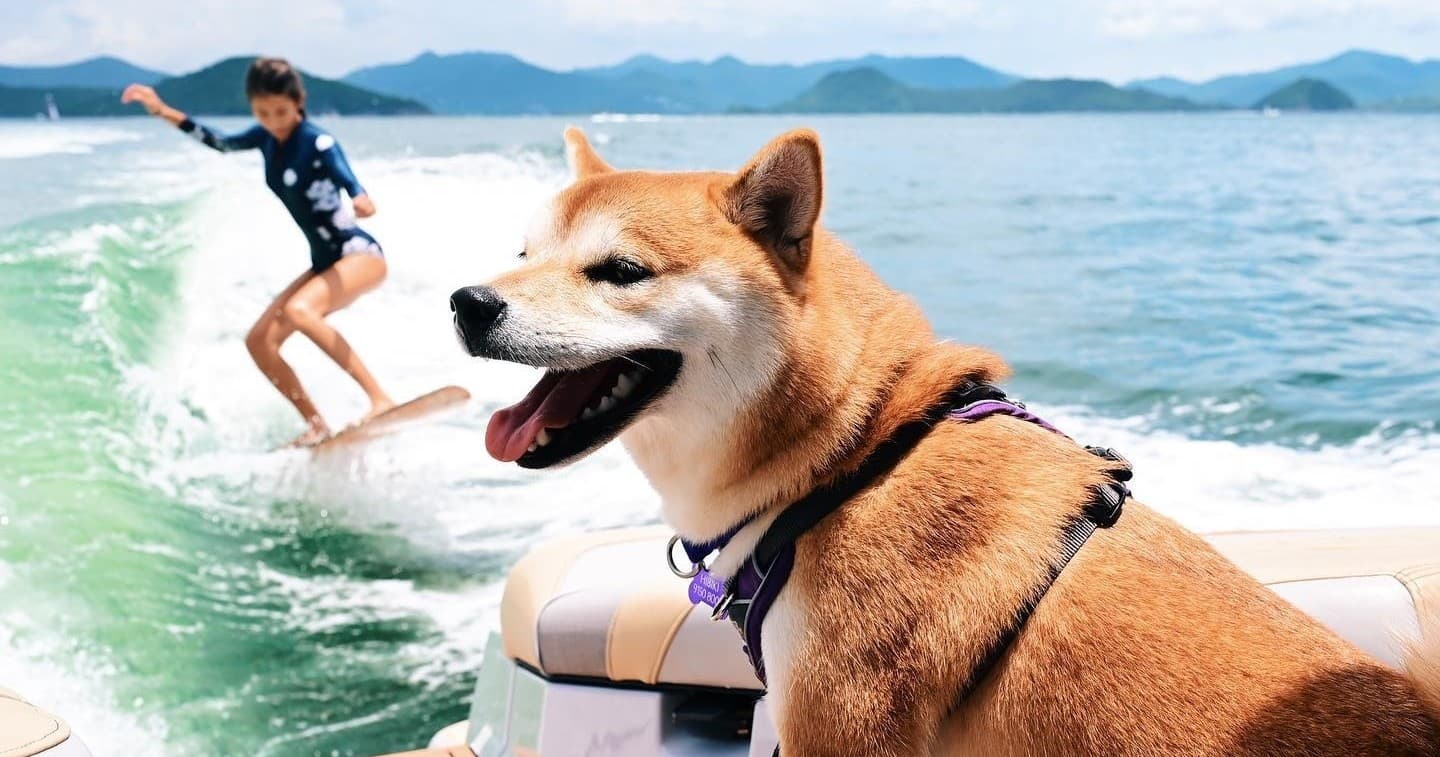 Experience Ultimate Wakeboarding Adventures with Private AXIS A24 Boat Charters in Sai Kung