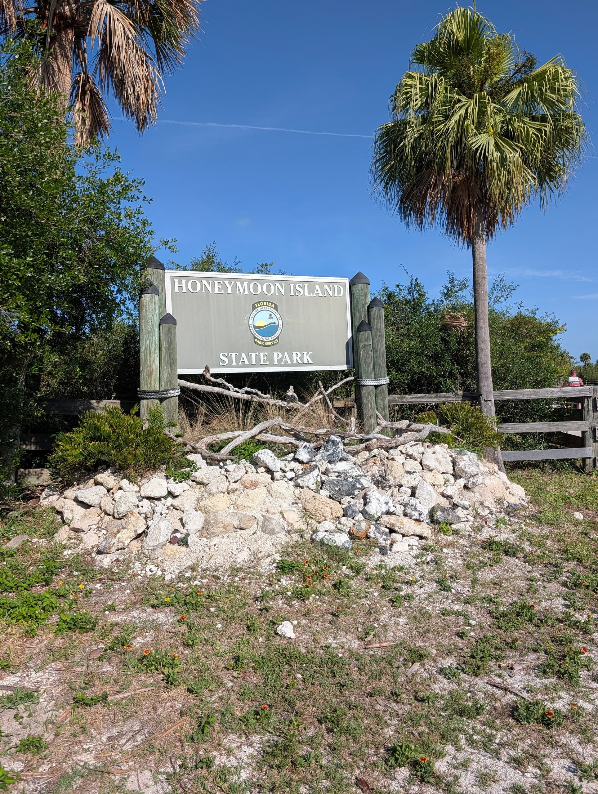 E-Bike Honeymoon Island Tour, Dunedin Gulf Coast Ride
