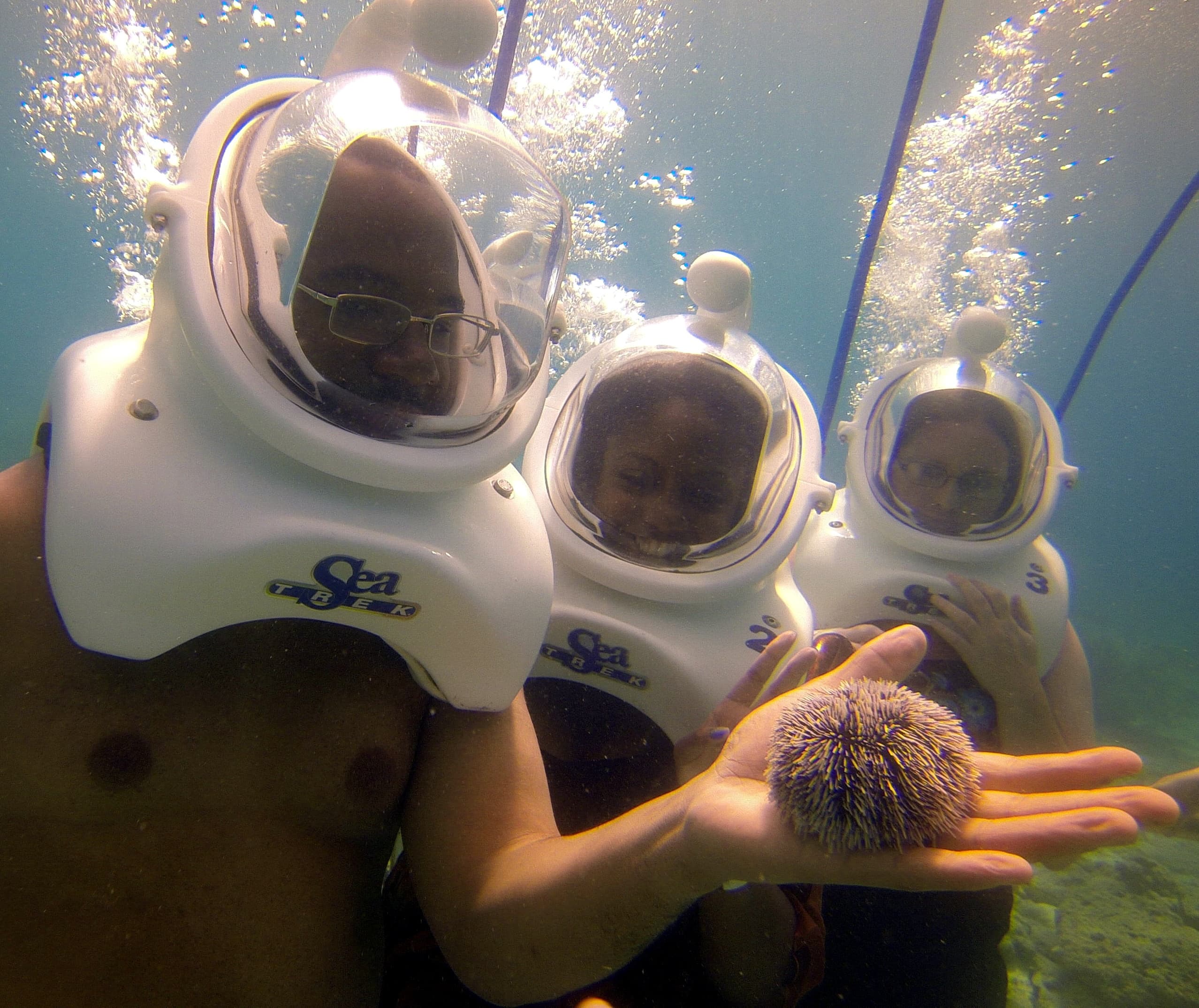 Underwater sea helmet tour with divers holding a sea urchin