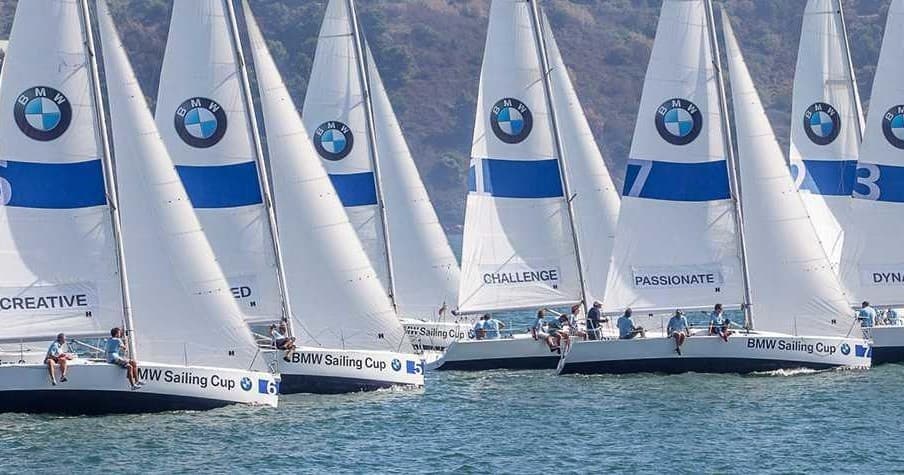 Explore Wild Dolphins on a Speedboat Adventure in Lisboa