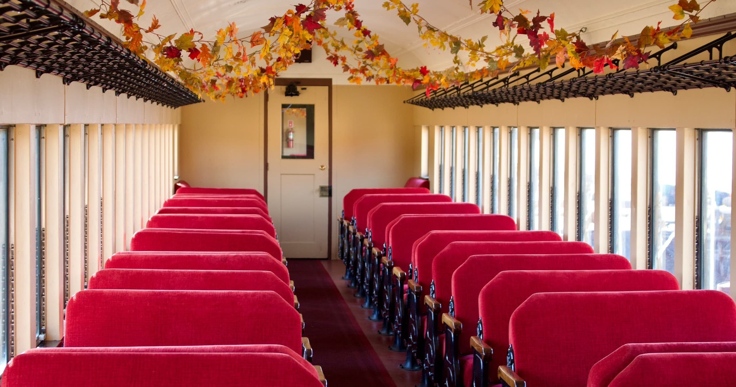 Fall Foliage Rambler: Scenic Autumn Train Ride Through South Jersey's Countryside