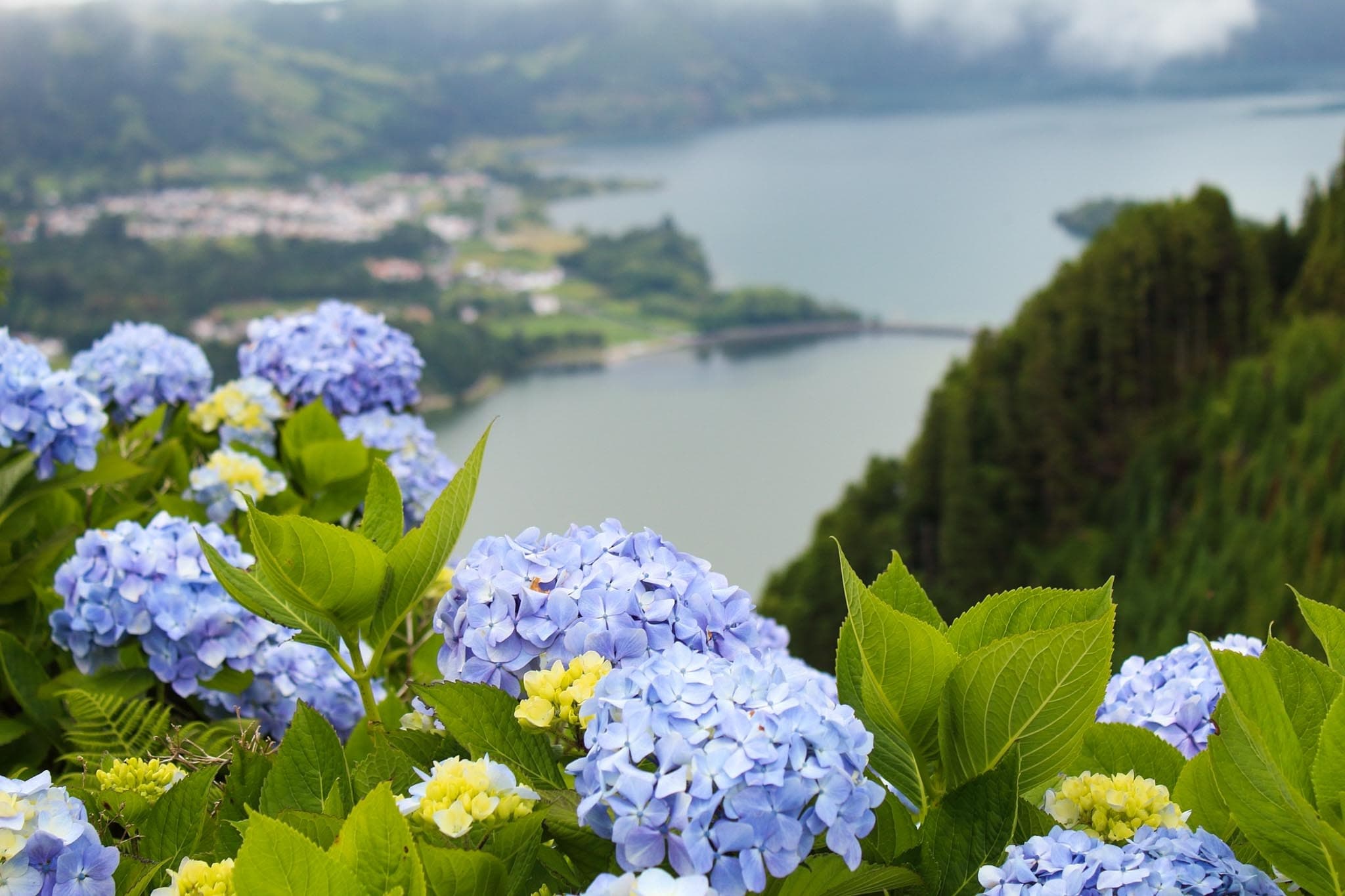 Sete Cidades Canoe Tours with Azores Land Tours