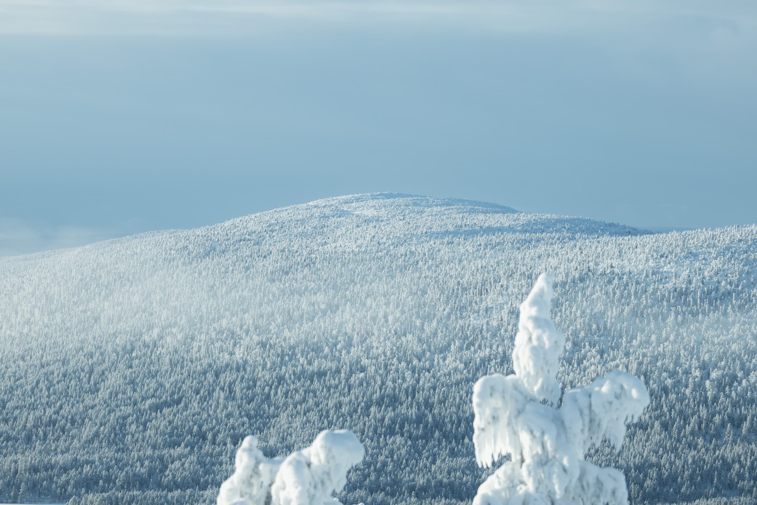Snowshoe to Kätkä Fell: Half-Day Arctic Hike from Levi with Sámi Stories photo 3