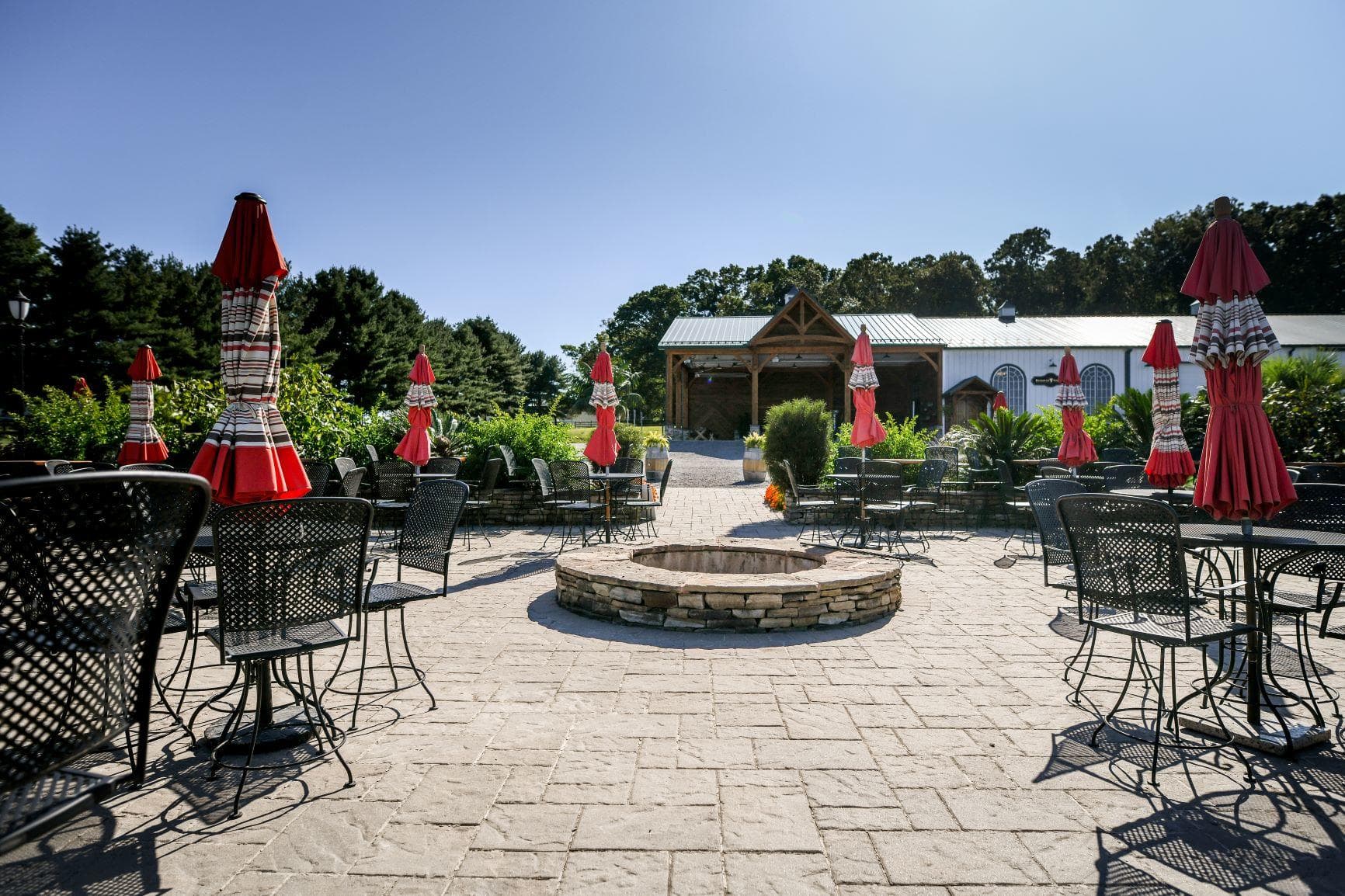 Live Music & Wine at Beneduce Vineyards’ Saturday Group Therapy