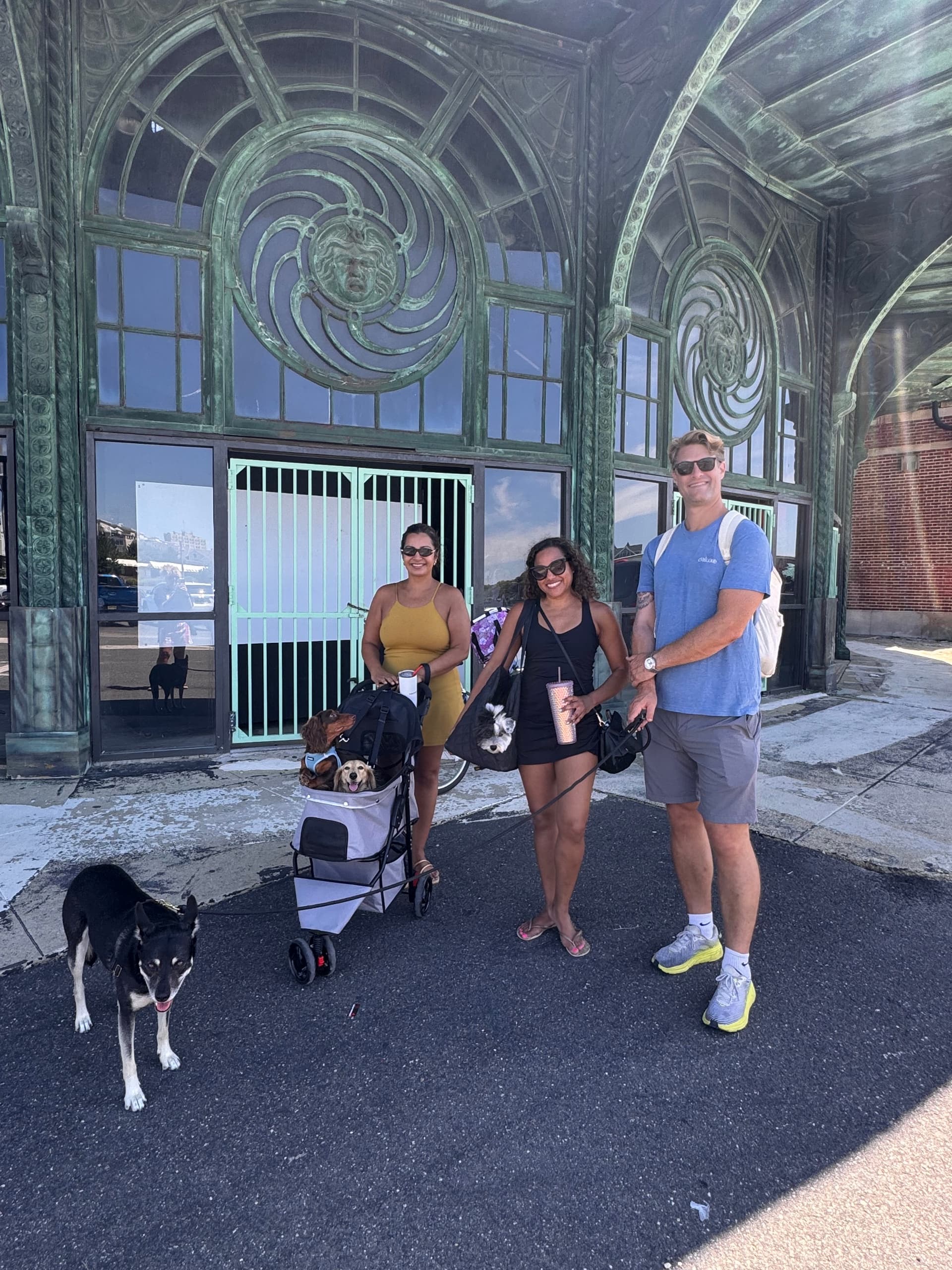 Land Adventures: Tails & Tales Dog Walk in Asbury Park