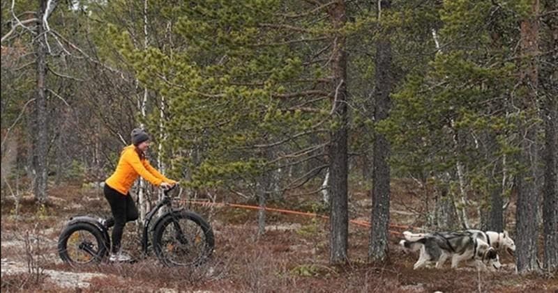 Fatmax Bike Rentals with Hetta Huskies in Enontekiö