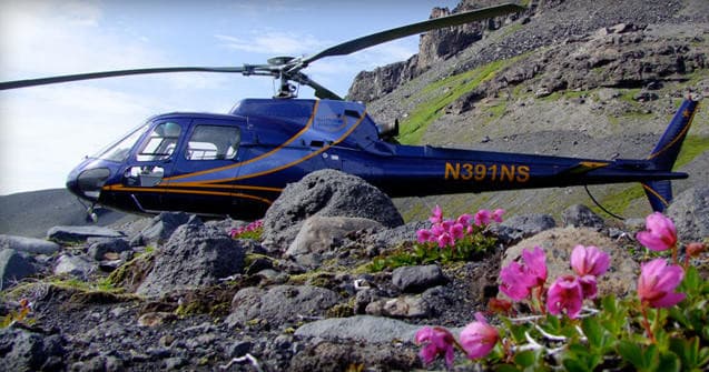Scenic helicopter on tundra with wildflowers near alpine glacier